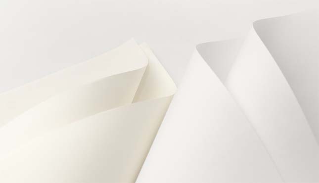 Giấy in TP. Hồ Chí Minh