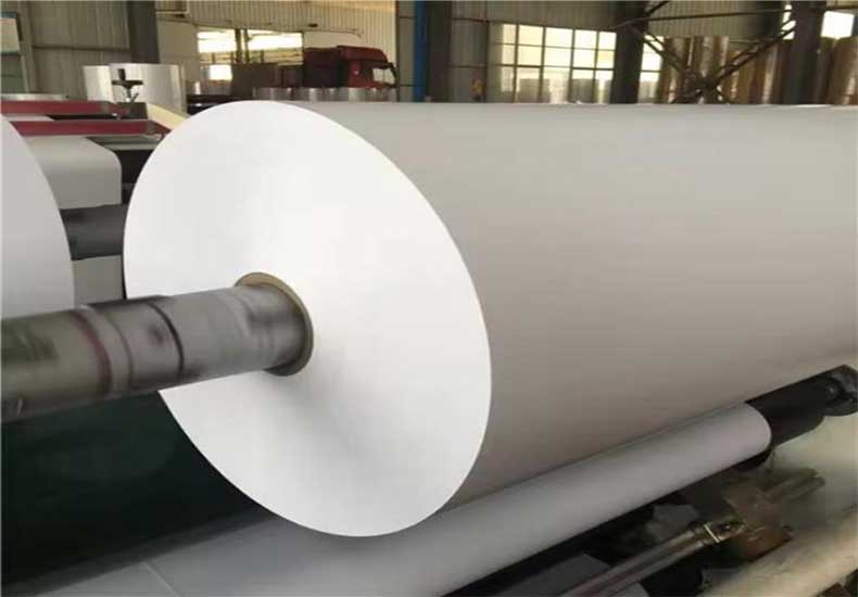 cong ty giay phuc thinh phat